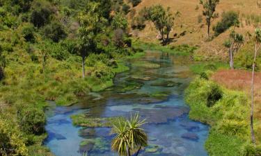 Hotels with Jacuzzis in Tirau