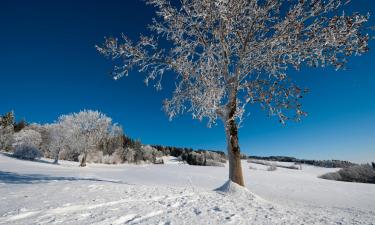 Alquileres temporarios en Sankt Niklaus