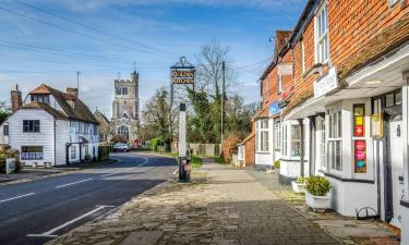 Cabanes i cottages a Biddenden