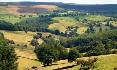 Cottages in Froggatt