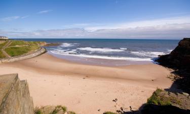 Pet-Friendly Hotels in North Shields