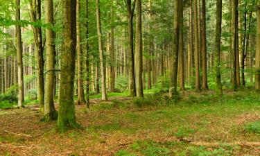 Hotels mit Parkplatz in Tennenbronn