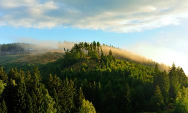 Ferieboliger i Wolfshagen