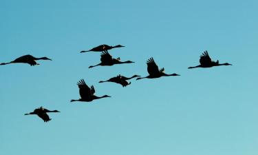 فنادق عائلية في Gallocanta