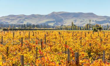 Hoteles con estacionamiento en Waipara