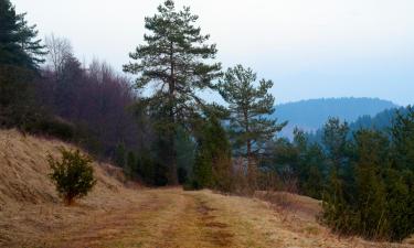 Lavprishoteller i Holsthum