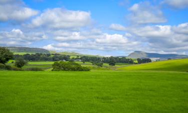 Holiday Homes in Leck