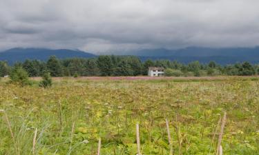 Vacances à Gustavus à petit prix