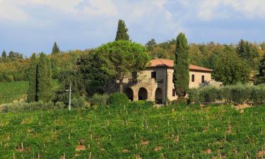 Cottages in Monti di Sotto