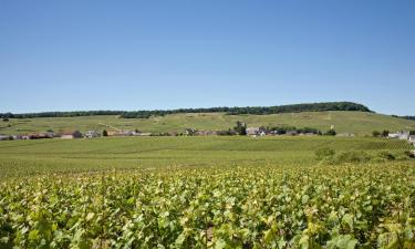 Hotels with Parking in Trépail