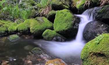 Lejligheder i Santa Eulalia de Oscos