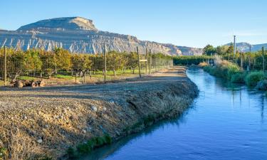 Hotels with Parking in Palisade