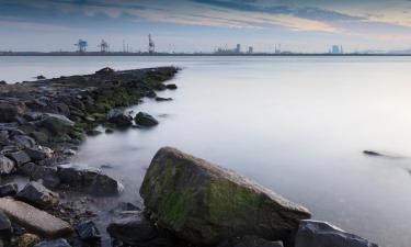 Vacances à Rozenburg à petit prix