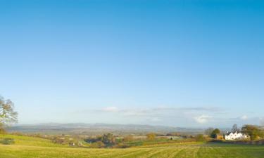 B&Bs in Ledbury