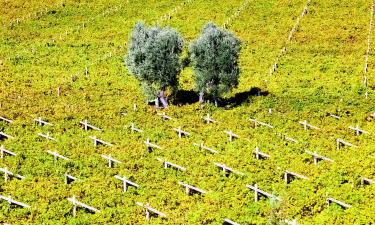 Hotels in Valdobbiadene