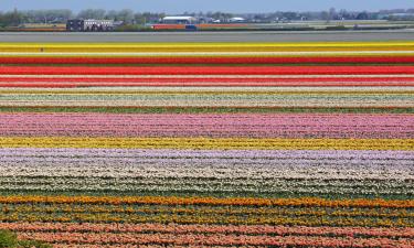 Hotels in Noordwijkerhout