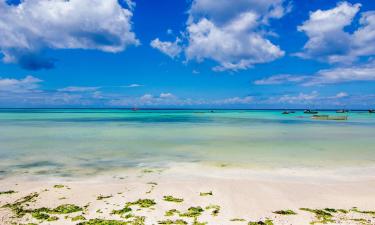 Hoteles de playa en Kizimkazi