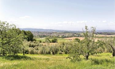 Parkimisega hotellid sihtkohas Forcoli