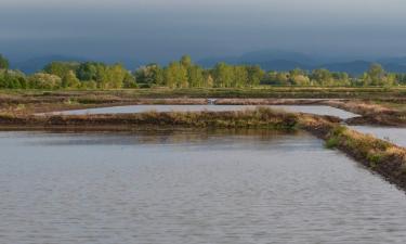 Отели с парковкой в городе Oppeano