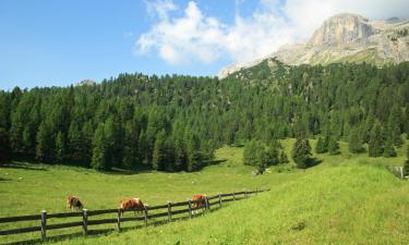 Ski Resorts in Planol