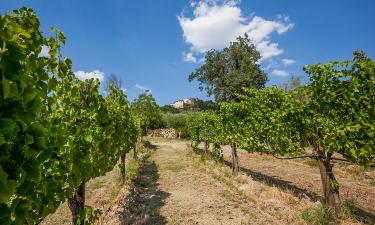 Hotels with Pools in Saragano