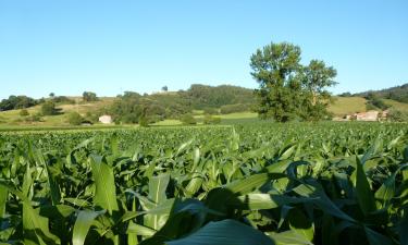 Alquileres vacacionales en Gama