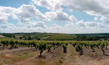 Puhkemajutused sihtkohas Rochefort-sur-Loire