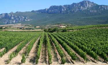 Hôtels pour les familles à San Asensio