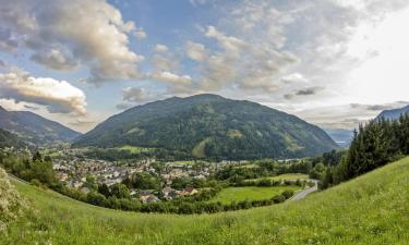 Apartments in Radenthein