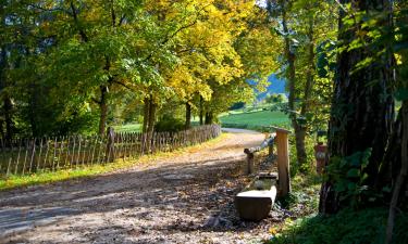 Ferieboliger i Castelrotto