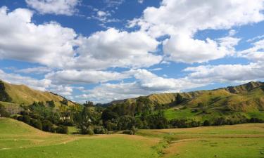 Moteles en Taihape