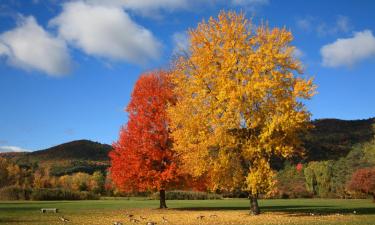 Hotels with Parking in Johnstown