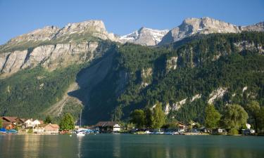 Apartments in Axalp