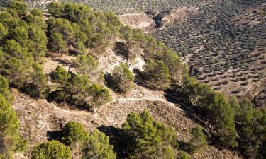 Ferieboliger i Villamena 