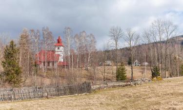 Skiresorts in Borowice