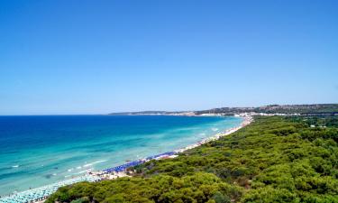 Beach rentals in Lido Conchiglie