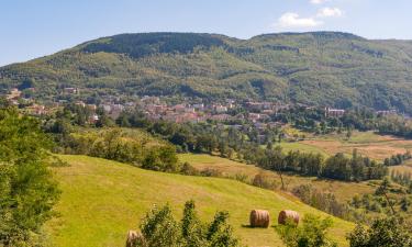 Bed & Breakfasts in Castiglione dei Pepoli