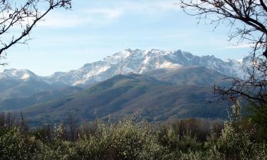 Holiday Rentals in El Raso