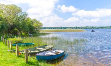 Beach rentals in Aureilhan