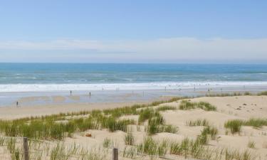 Vakantiewoningen aan het strand in Le Piquey