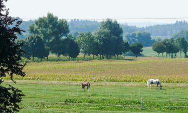 Hotels met Parkeren in Bogen