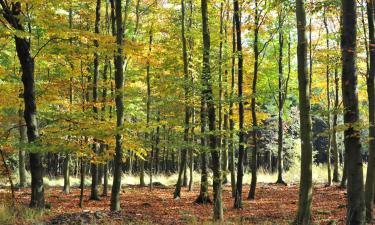 Hotels mit Parkplatz in Ittre