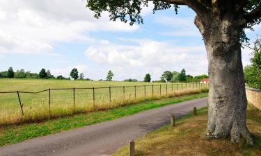 Cottages in Grittleton