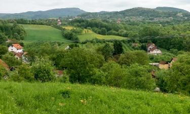 Hoteles económicos en Gornja Trepča