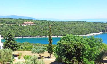 Cottages in Pavicini