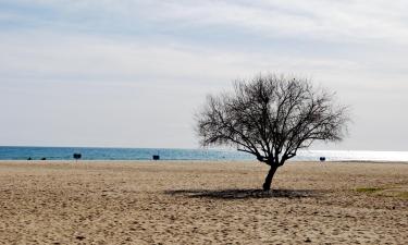 Παραθεριστικές κατοικίες σε Teià