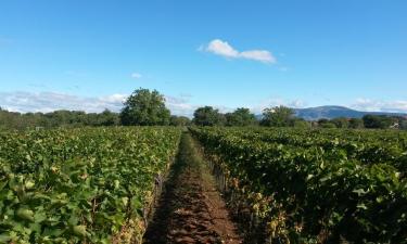 Hoteles familiares en Drinovci