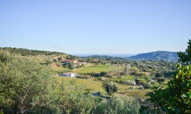 Παραθεριστικές κατοικίες σε Loceri