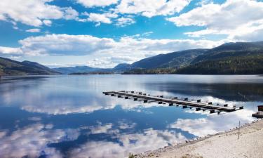 Alquileres vacacionales en Flå