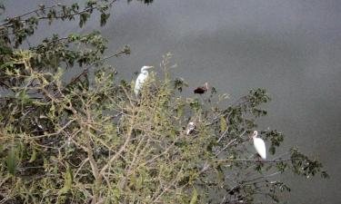 Beach Hotels in El Coacoyul